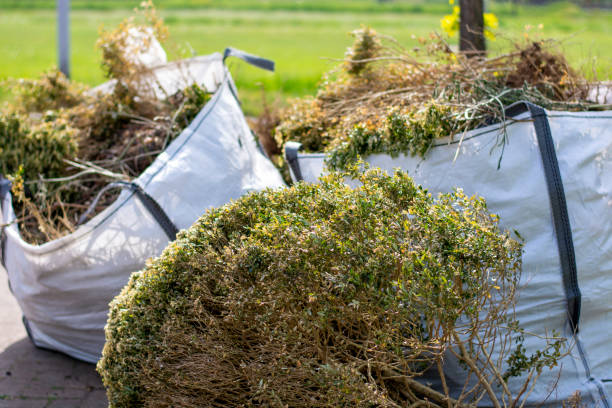 Best Shed Removal  in Mcewen, TN